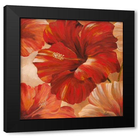 Sunlit Bloom II Black Modern Wood Framed Art Print with Double Matting by Nan