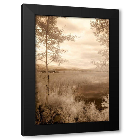 Peaceful Morning I Black Modern Wood Framed Art Print by Nagler, Monte