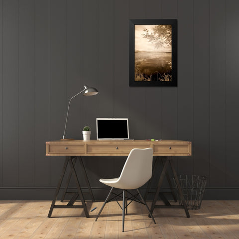 Peaceful Morning II Black Modern Wood Framed Art Print by Nagler, Monte