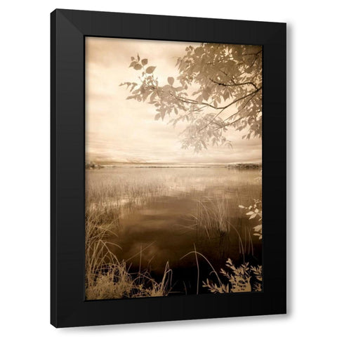 Peaceful Morning II Black Modern Wood Framed Art Print by Nagler, Monte