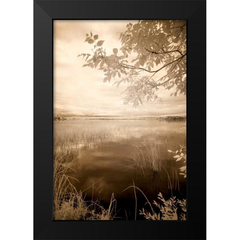 Peaceful Morning II Black Modern Wood Framed Art Print by Nagler, Monte