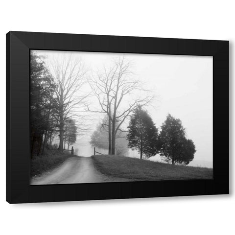 Tennessee Morning Black Modern Wood Framed Art Print by Nagler, Monte