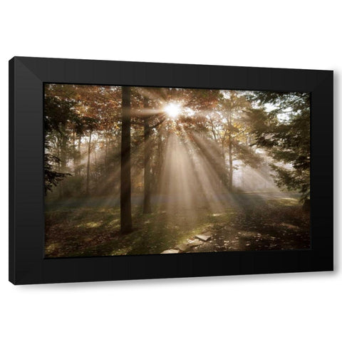 A New Day I Black Modern Wood Framed Art Print by Dahlgren, Ann