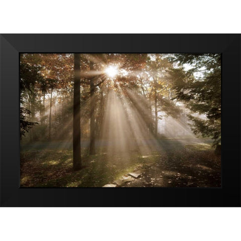 A New Day I Black Modern Wood Framed Art Print by Dahlgren, Ann