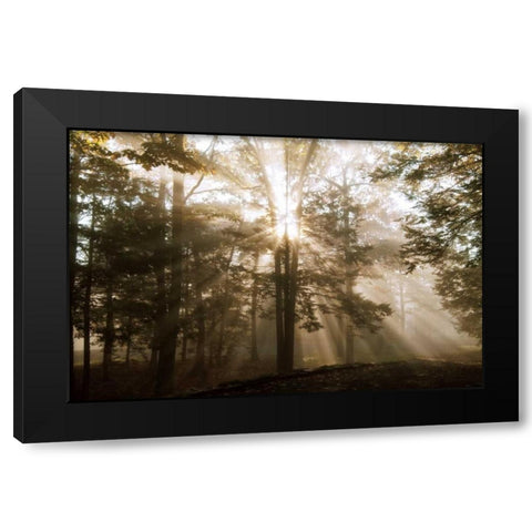 A New Day II Black Modern Wood Framed Art Print with Double Matting by Dahlgren, Ann