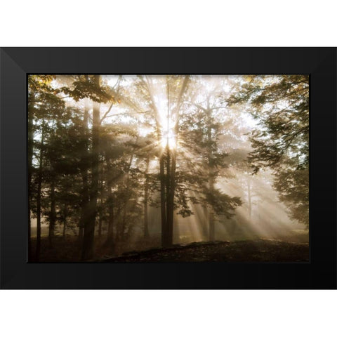 A New Day II Black Modern Wood Framed Art Print by Dahlgren, Ann