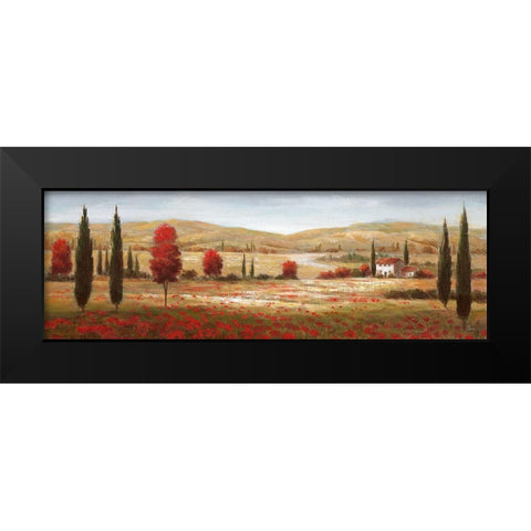 Tuscan Poppies I Black Modern Wood Framed Art Print by Nan