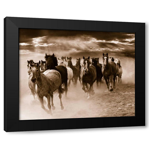 Running Horses Black Modern Wood Framed Art Print by Nagler, Monte