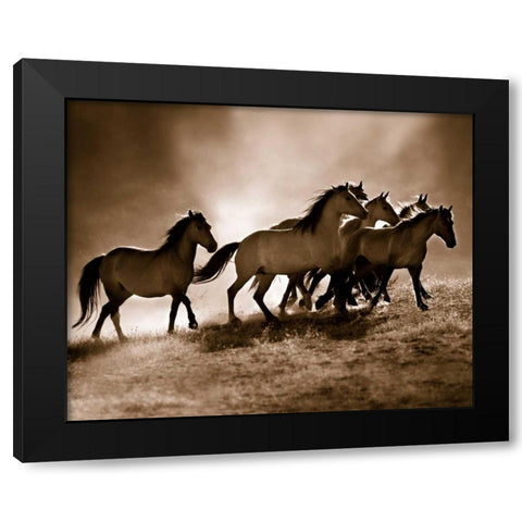 Wild Horses Black Modern Wood Framed Art Print by Dearing, Lisa