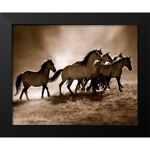 Wild Horses Black Modern Wood Framed Art Print by Dearing, Lisa