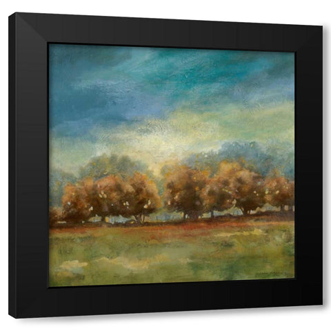 Clearing Sky I Black Modern Wood Framed Art Print with Double Matting by Robinson, Carol