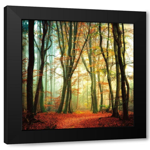 Colorfall Black Modern Wood Framed Art Print by Van De Goor, Lars