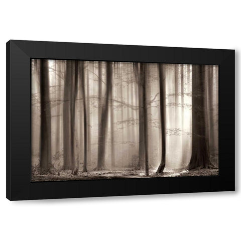 The Cloaking Black Modern Wood Framed Art Print by Van De Goor, Lars