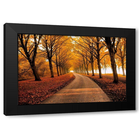 Well Traveled Black Modern Wood Framed Art Print by Van De Goor, Lars