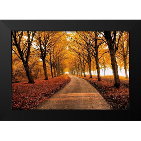 Well Traveled Black Modern Wood Framed Art Print by Van De Goor, Lars