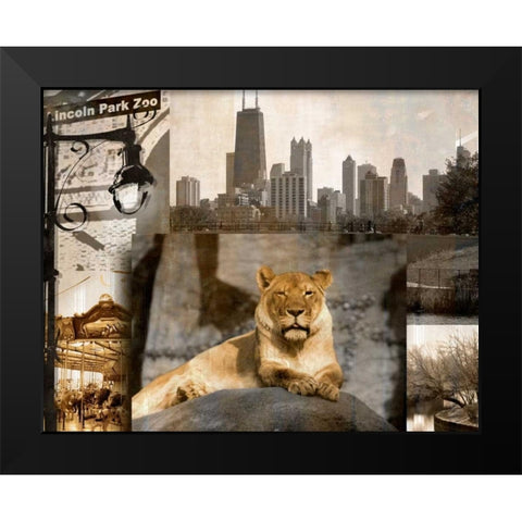 Lincoln Park Zoo Black Modern Wood Framed Art Print by Donovan, Kelly