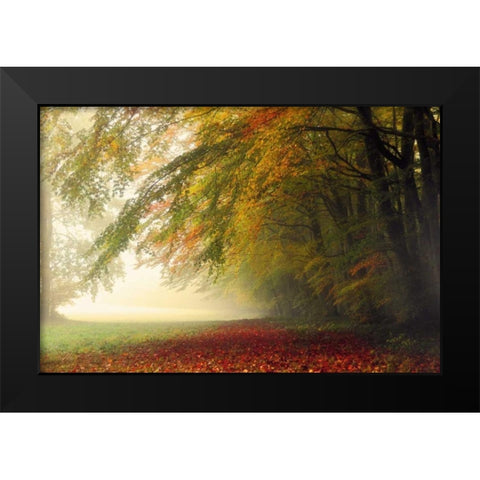 Your Beauty Silences Me Black Modern Wood Framed Art Print by Weisz, Irene