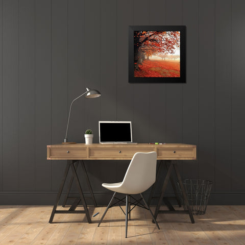 All For Show Black Modern Wood Framed Art Print by Weisz, Irene
