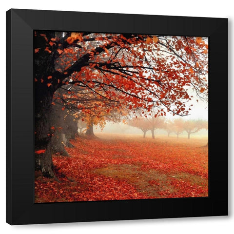 All For Show Black Modern Wood Framed Art Print with Double Matting by Weisz, Irene