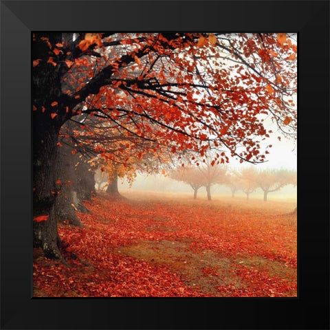 All For Show Black Modern Wood Framed Art Print by Weisz, Irene