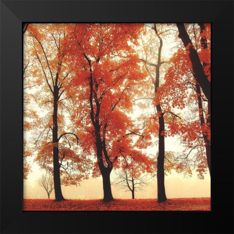 Coral Woods Black Modern Wood Framed Art Print by Weisz, Irene