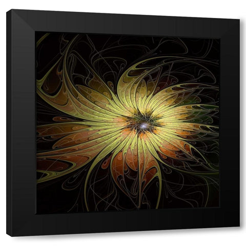 Bright Flower Black Modern Wood Framed Art Print by Moore, Amanda
