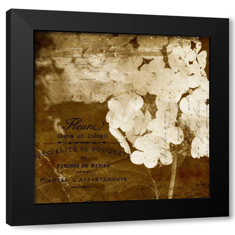 Hydrangea Black Modern Wood Framed Art Print by Craven, Katrina