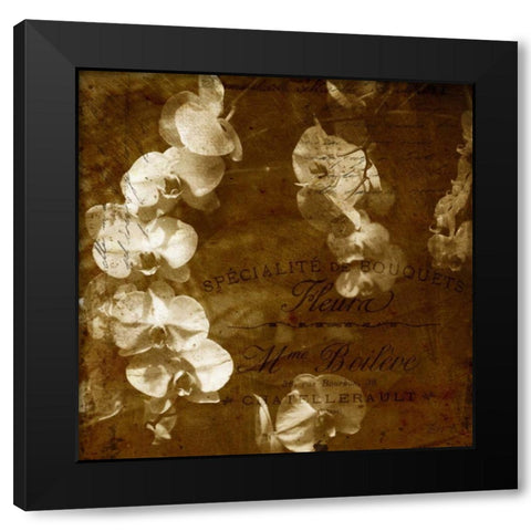 Orchid Black Modern Wood Framed Art Print with Double Matting by Craven, Katrina
