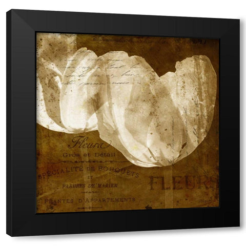 Tulip Black Modern Wood Framed Art Print with Double Matting by Craven, Katrina