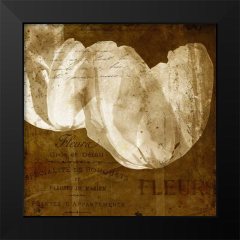 Tulip Black Modern Wood Framed Art Print by Craven, Katrina