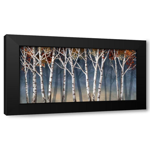 Birch Shadows Black Modern Wood Framed Art Print by Knutsen, Conrad