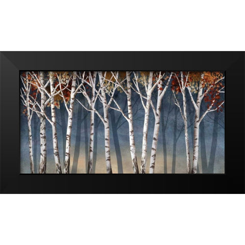 Birch Shadows Black Modern Wood Framed Art Print by Knutsen, Conrad