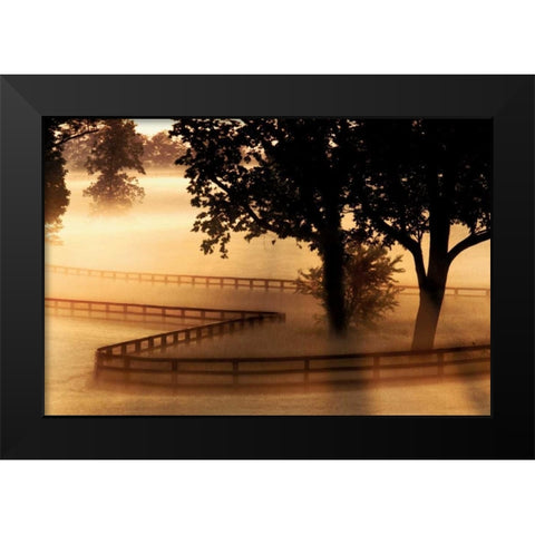 Kentucky Morning Black Modern Wood Framed Art Print by Delimont, Danita