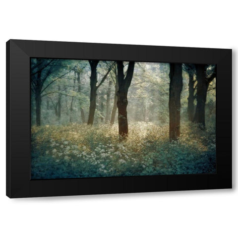 Foret De Black Modern Wood Framed Art Print with Double Matting by Van de Goor, Lars