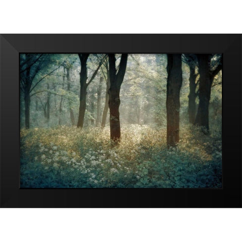 Foret De Black Modern Wood Framed Art Print by Van de Goor, Lars