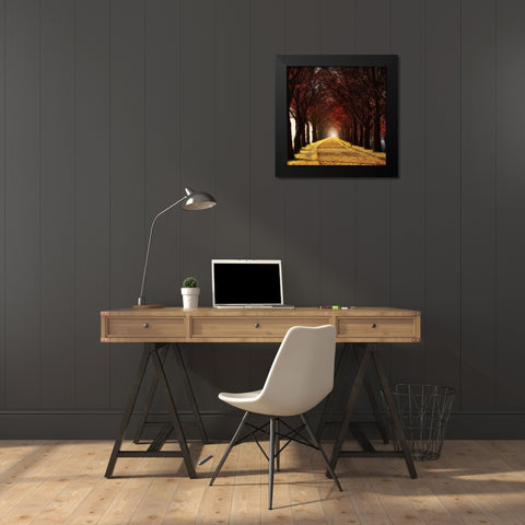 Wonder Curve Black Modern Wood Framed Art Print by Van de Goor, Lars