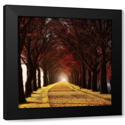Wonder Curve Black Modern Wood Framed Art Print with Double Matting by Van de Goor, Lars
