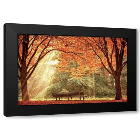 Sun Never Set Black Modern Wood Framed Art Print by Van de Goor, Lars