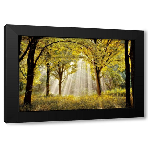Dressed To Black Modern Wood Framed Art Print with Double Matting by Van de Goor, Lars