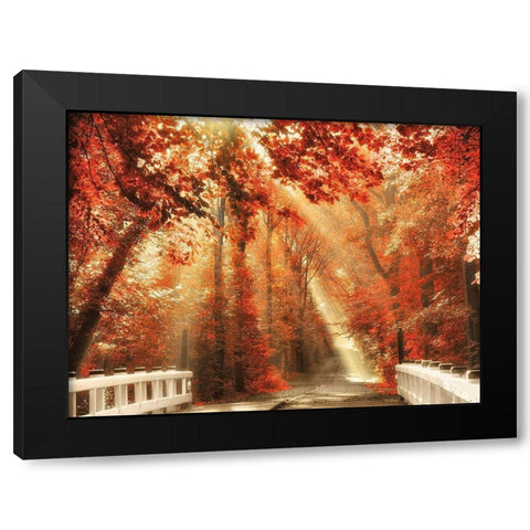 Red for Rest Black Modern Wood Framed Art Print by Van de Goor, Lars