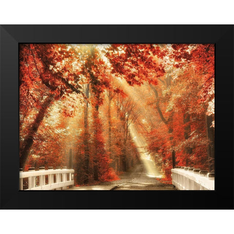 Red for Rest Black Modern Wood Framed Art Print by Van de Goor, Lars