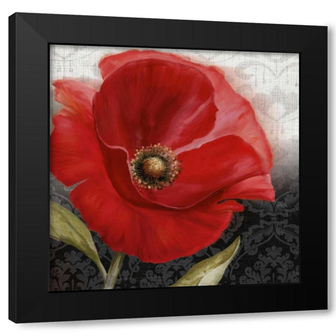 Poppy Perfection I Black Modern Wood Framed Art Print with Double Matting by Knutsen, Conrad