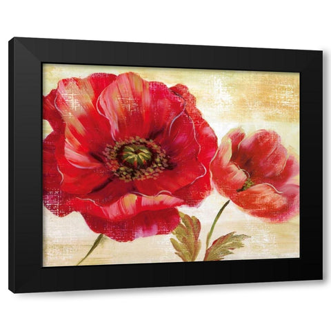 Passion For Poppies I Black Modern Wood Framed Art Print by Nan