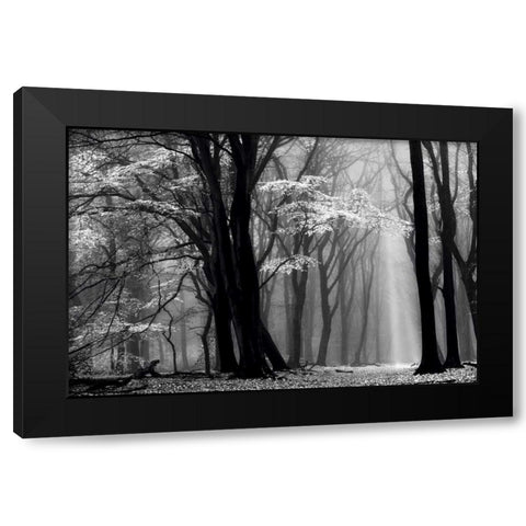 Winter is Coming Black Modern Wood Framed Art Print by Van de Goor, Lars