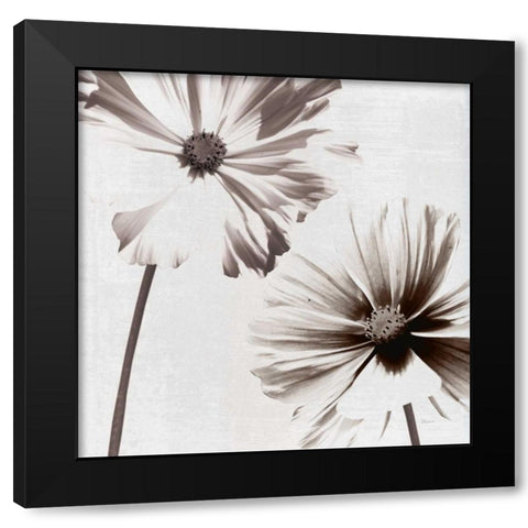 Takes Two III Black Modern Wood Framed Art Print by Craven, Katrina