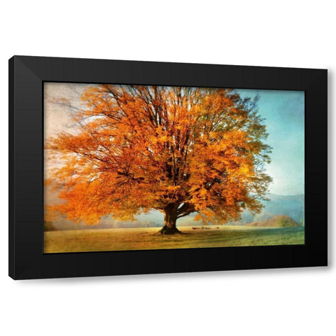 Autumns Passion Black Modern Wood Framed Art Print by Weisz, Irene