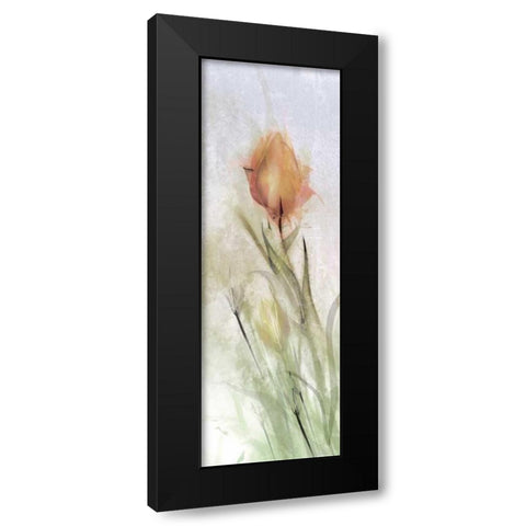 Tulip Breeze I Black Modern Wood Framed Art Print by Calascibetta, Mike