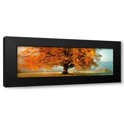 Autumn Emotion Black Modern Wood Framed Art Print with Double Matting by Weisz, Irene
