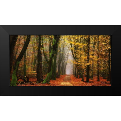 Shimmer Black Modern Wood Framed Art Print by Van de Goor, Lars