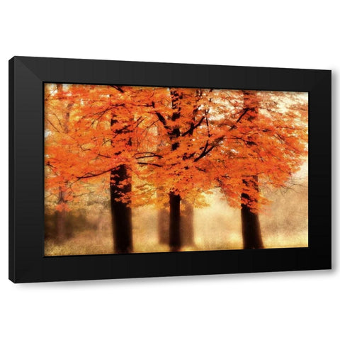 Three Trees Black Modern Wood Framed Art Print by Weisz, Irene